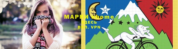 стаф Гусь-Хрустальный
