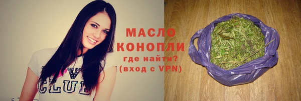 стаф Гусь-Хрустальный