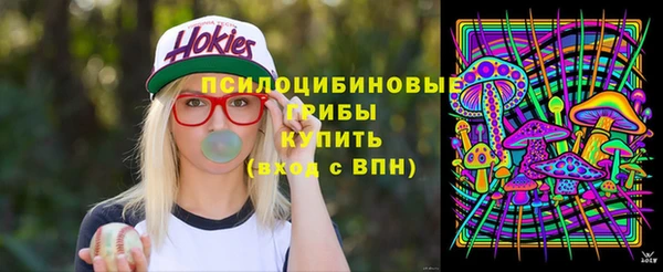 стаф Гусь-Хрустальный
