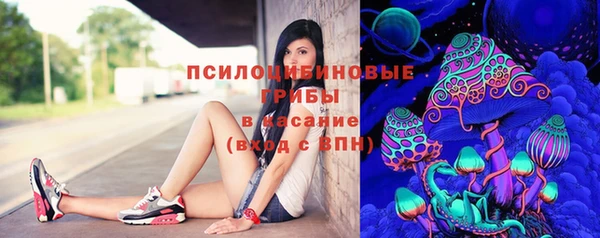 марки lsd Гусиноозёрск