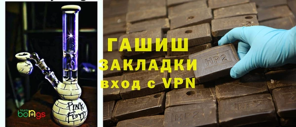 apvp Гусев