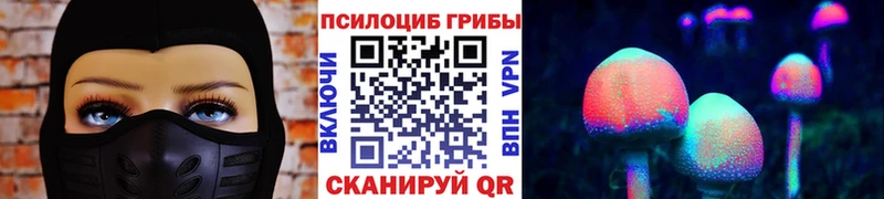 Псилоцибиновые грибы GOLDEN TEACHER  OMG как зайти  Москва 
